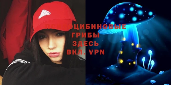 apvp Алексеевка