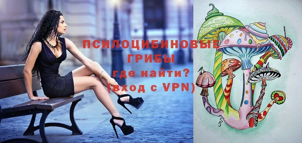 apvp Алексеевка