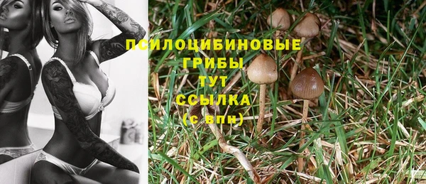 мяу мяу мука Алзамай