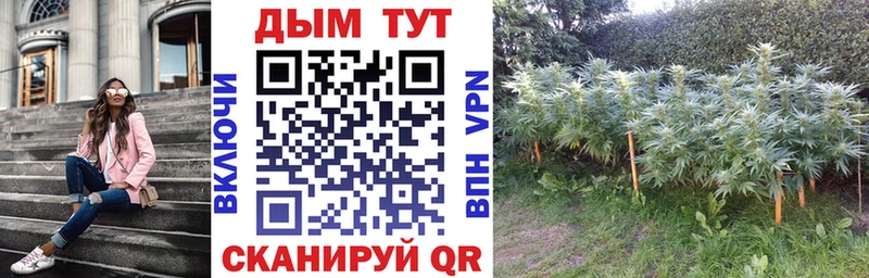 Конопля индика  Нижний Тагил 
